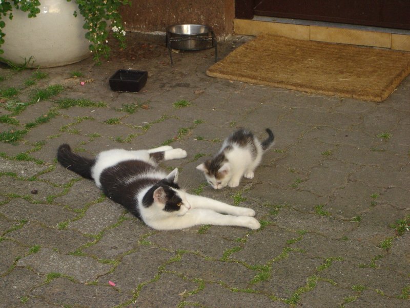 bild-090
